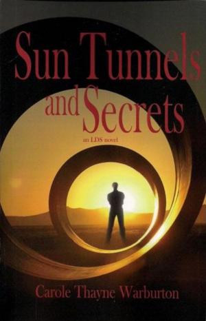 Cover of the book Sun Tunnels and Secrets by Kelly Nelson