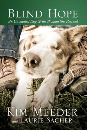 Cover of the book Blind Hope by Brenda Stoeker, Susan Allen