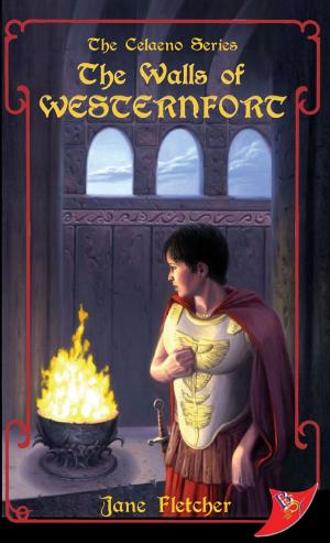 Cover of the book The Walls of Westernfort by Annie Carroll