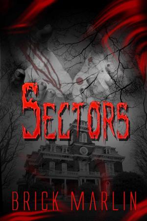 Cover of the book Sectors by Elaine Robinson