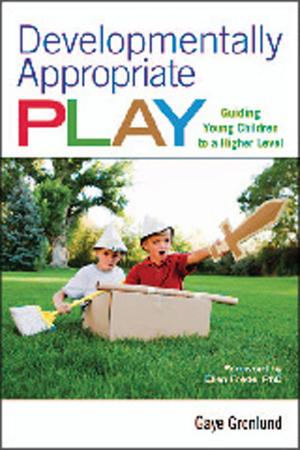 Cover of the book Developmentally Appropriate Play by Mike Huber
