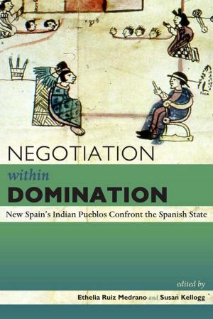 Cover of the book Negotiation within Domination by Thomas F. Babcock