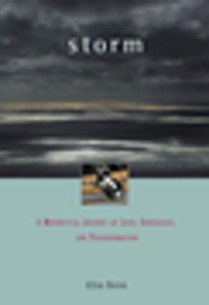 Cover of the book Storm by Peter Wortsman
