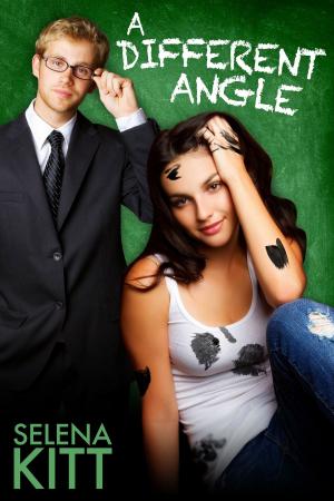 Cover of the book A Different Angle by Holly S. Roberts