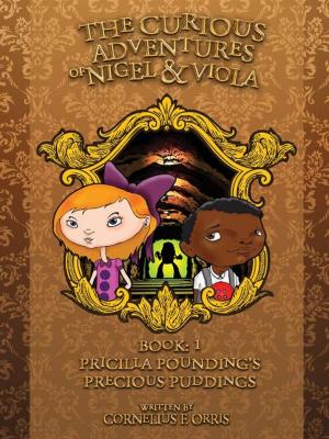 Cover of the book The Curious Adventures of Nigel and Viola by Steve Turnbull