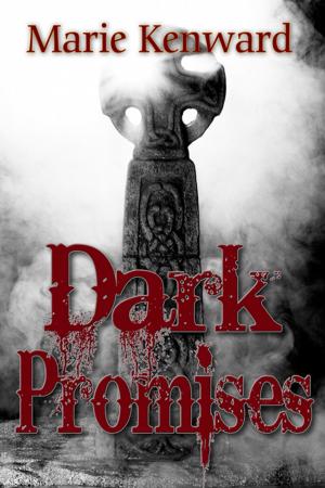 Cover of the book Dark Promises by Debra  St. John