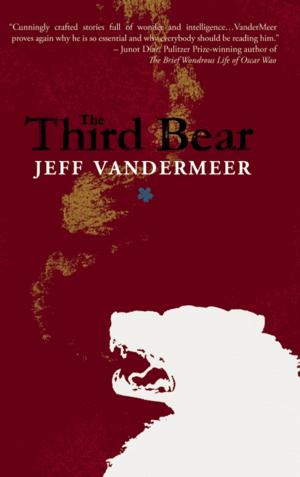 Cover of the book The Third Bear by Tim Powers