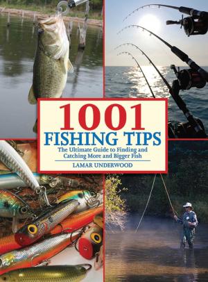 Cover of the book 1001 Fishing Tips by John Kumiski