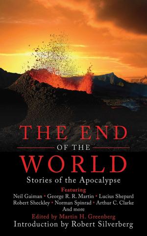 Cover of the book The End of the World by CK Stone
