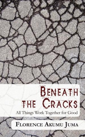 Cover of the book Beneath the Cracks: All Things Work Together for Good by Dr. Jan Smits