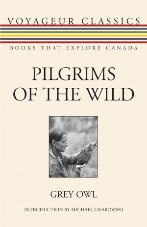 Cover of the book Pilgrims of the Wild by Derek Grout