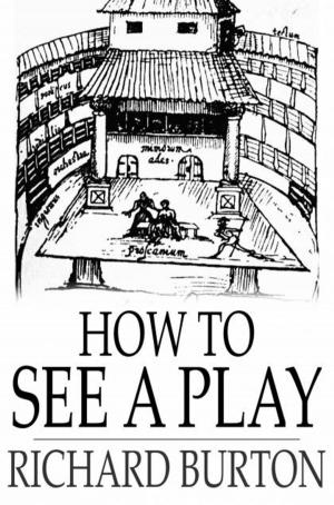 Cover of the book How to See a Play by George A. Birmingham