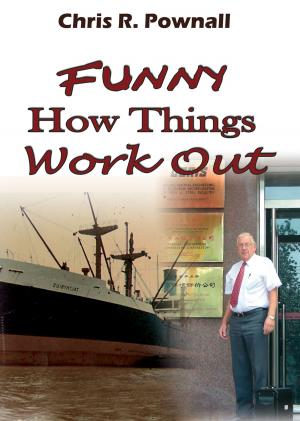 Cover of the book Funny How Things Work Out by Judy Eichinger