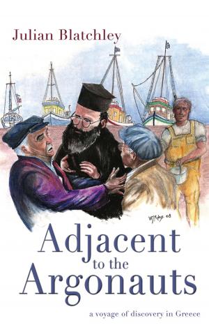 Cover of the book Adjacent to the Argonauts by Stephen Goldenberg