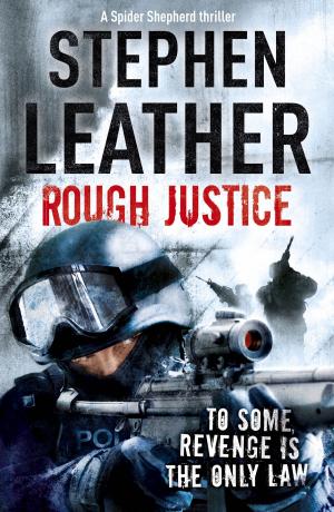 Cover of the book Rough Justice by Stephen Leather