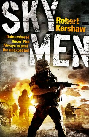 Cover of the book Sky Men by Anna Jacobs