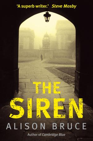 Cover of the book The Siren by Elizabeth Jeffrey