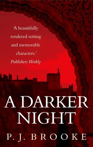 Book cover of A Darker Night