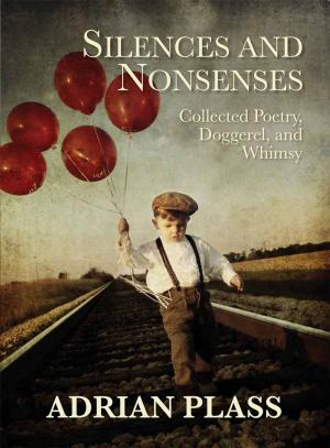 Book cover of Silences and Nonsenses