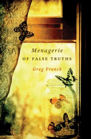 Cover of the book Menagerie of False Truths by Janet Hayward