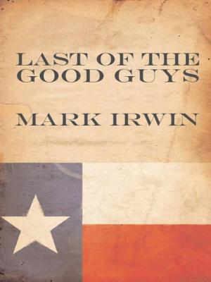 Book cover of Last of the Good Guys
