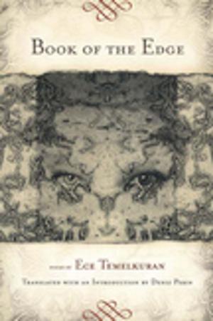 Cover of the book Book of the Edge by Sean Thomas Dougherty