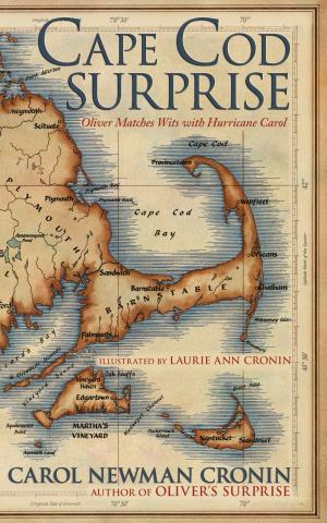 Cover of the book Cape Cod Surprise by Virginie Raguenaud