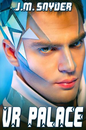 Cover of the book VR Palace by J.D. Walker