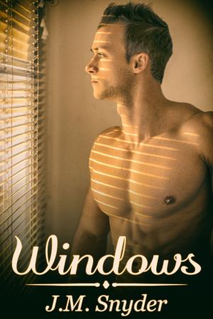 Cover of the book Windows by Rick R. Reed