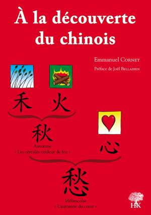Cover of the book A la découverte du chinois by John Newton, Ph.D. 哲臘曙  博士