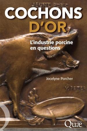 Book cover of Cochons d'or