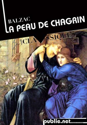 Cover of the book La Peau de chagrin by Maurice Leblanc