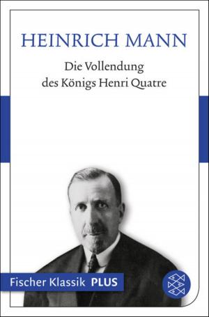 Cover of the book Die Vollendung des Königs Henri Quatre by Sarah Kuttner