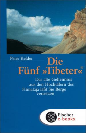 Cover of the book Die Fünf "Tibeter"® by Robert Gernhardt