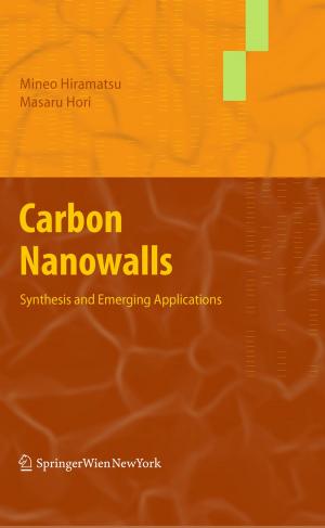 Cover of the book Carbon Nanowalls by Bernd Schmidt, Klaus Wetzig