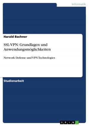 Cover of the book SSL-VPN: Grundlagen und Anwendungsmöglichkeiten by Christoph Blepp