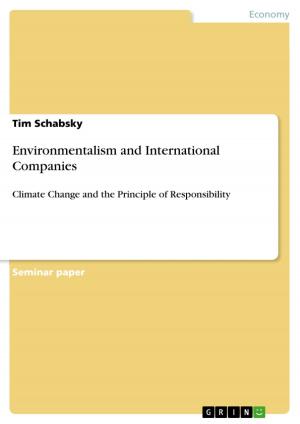 Cover of the book Environmentalism and International Companies by Katharina Hilberg