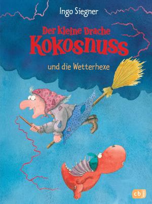 Book cover of Der kleine Drache Kokosnuss und die Wetterhexe