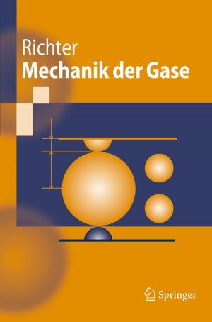 Cover of the book Mechanik der Gase by Fedor Mitschke