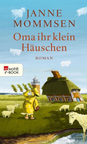 Cover of the book Oma ihr klein Häuschen by Simone de Beauvoir