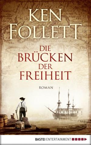 Cover of the book Die Brücken der Freiheit by Harald Braun