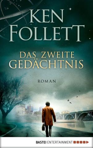 Cover of the book Das zweite Gedächtnis by Sarah Lark