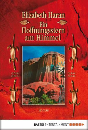 Cover of the book Ein Hoffnungsstern am Himmel by Ina Ritter