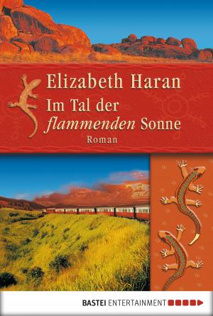 Book cover of Im Tal der flammenden Sonne