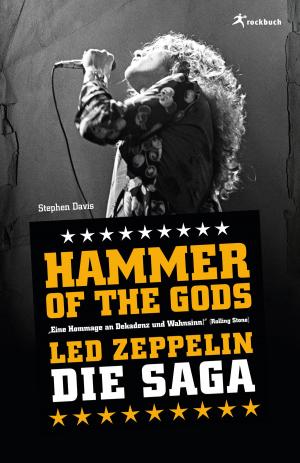 Cover of the book Hammer of the Gods by Melody Rose