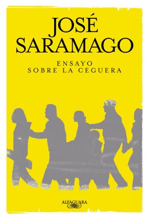 Cover of the book Ensayo sobre la ceguera by Tony Judt