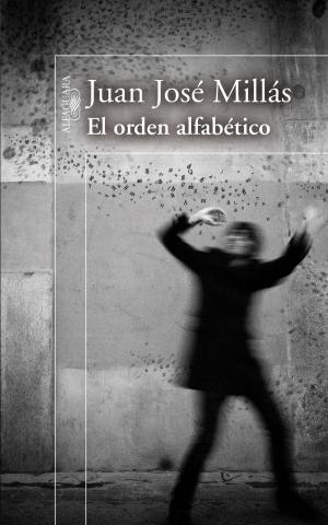 Cover of the book El orden alfabético by Nunila de Mendoza
