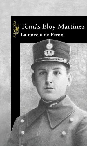 Cover of the book La novela de Perón by Lorena Franco