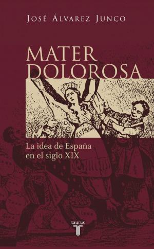 Cover of the book Mater dolorosa by Irene Lozano
