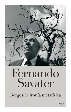 Cover of the book Borges: la ironía metafísica by Javier Rebolledo